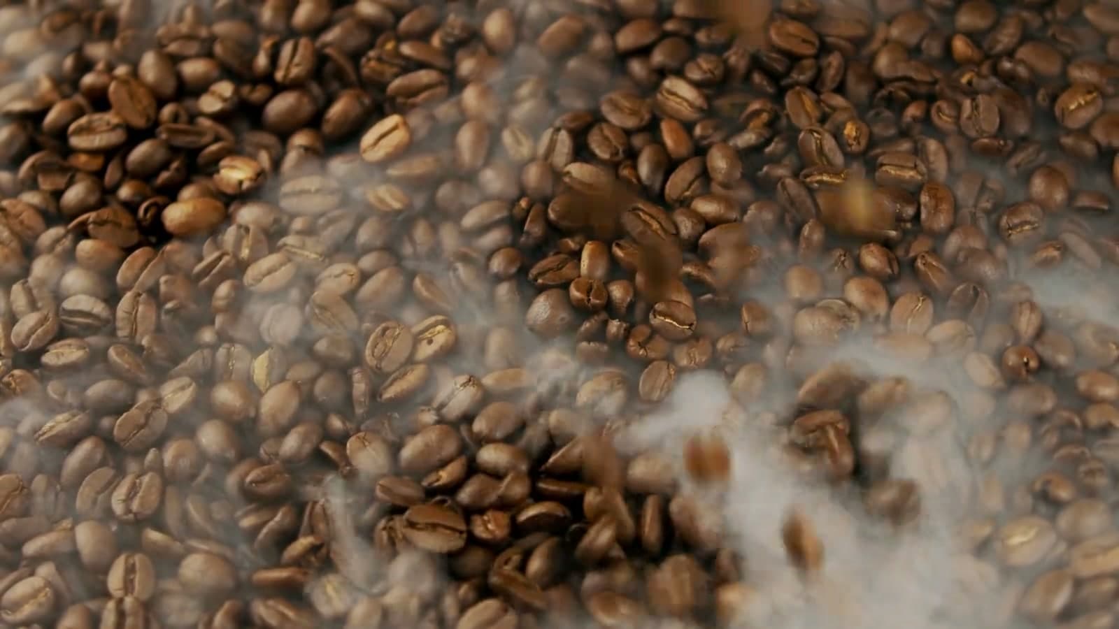 Freshly roasted coffee beans tumbling, still steaming.